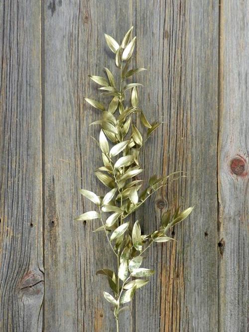 ITALIAN RUSCUS PAINTED GOLD TINTED